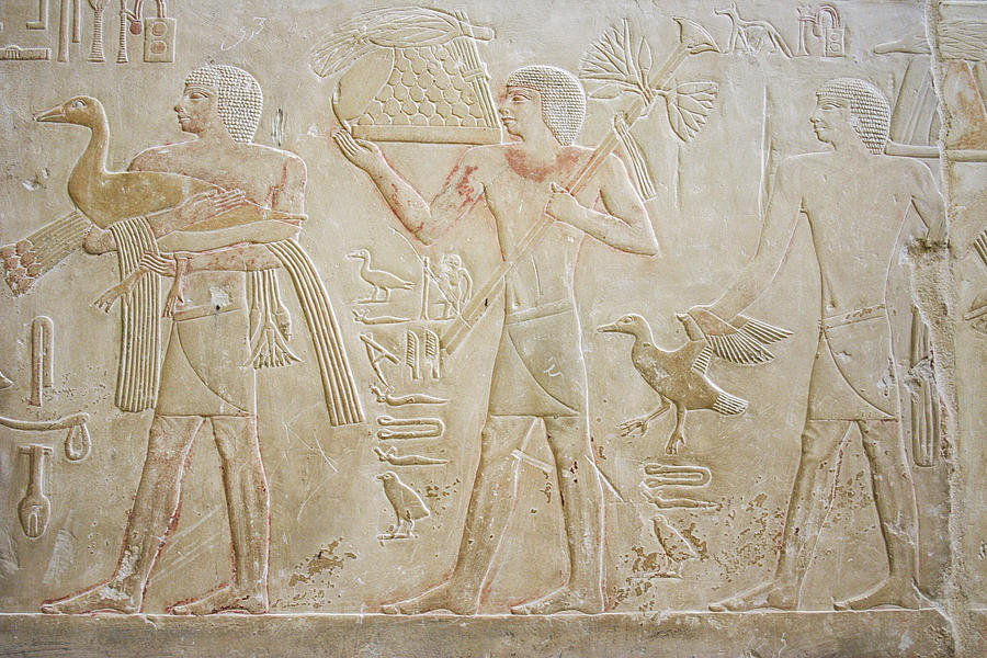Painted relief from the tomb of Ty Photograph by © Santiago Urquijo