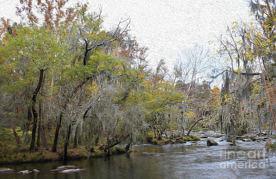 Tree Photograph - Painted Rivers End by Skip Willits