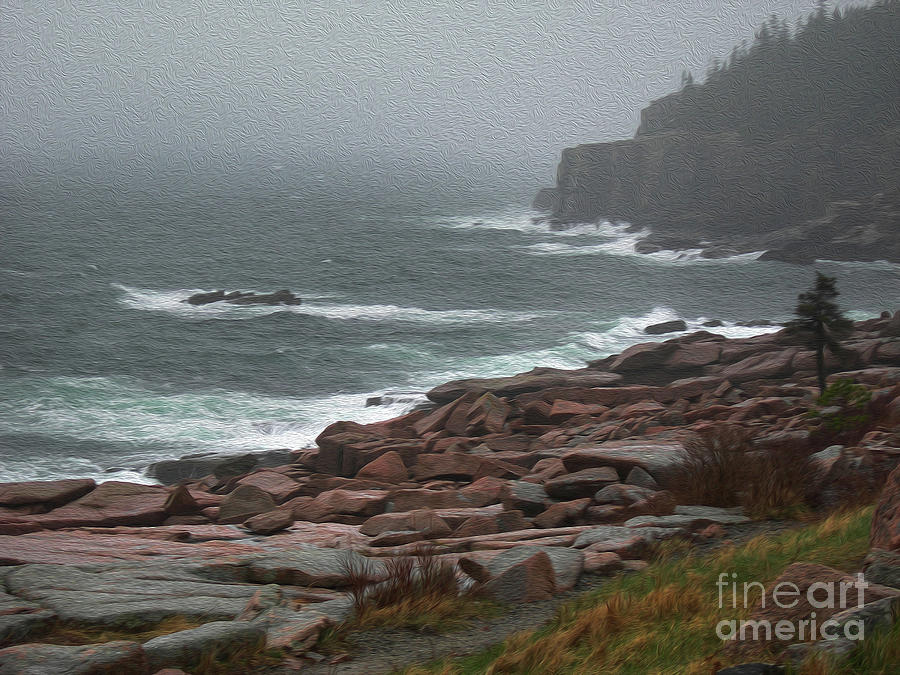 Painted Rocky Coast Of Maine Photograph by Skip Willits