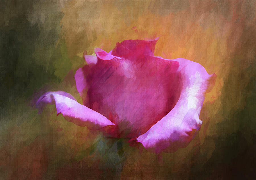 Painted Rose Digital Art by Terry Davis
