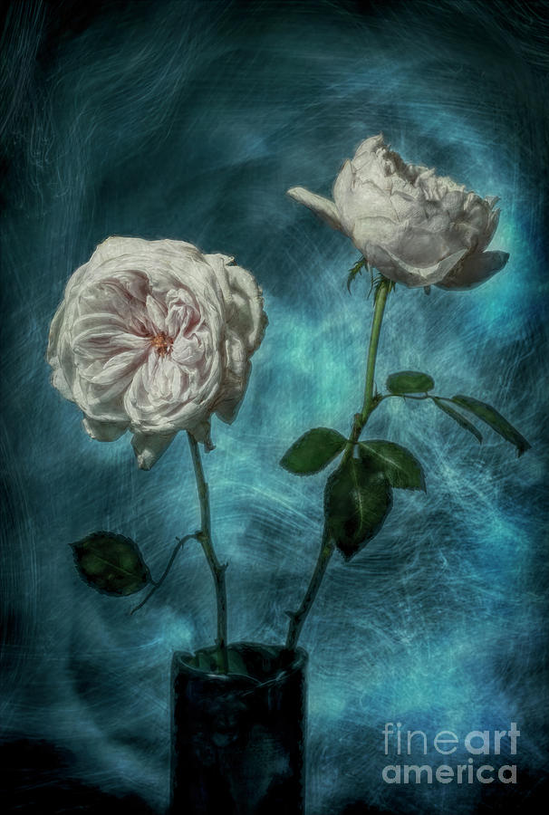 Flowers-Painted Rose Print Photograph by Terry Hrynyk