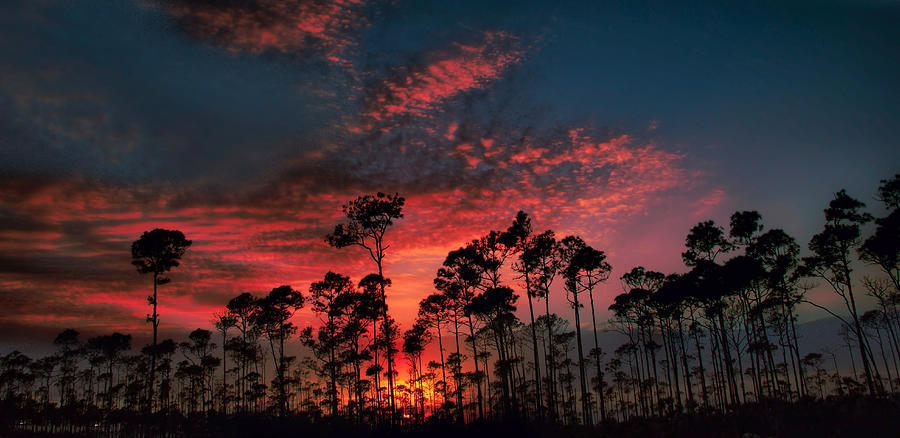 Painted Sky Photograph by Montez Kerr