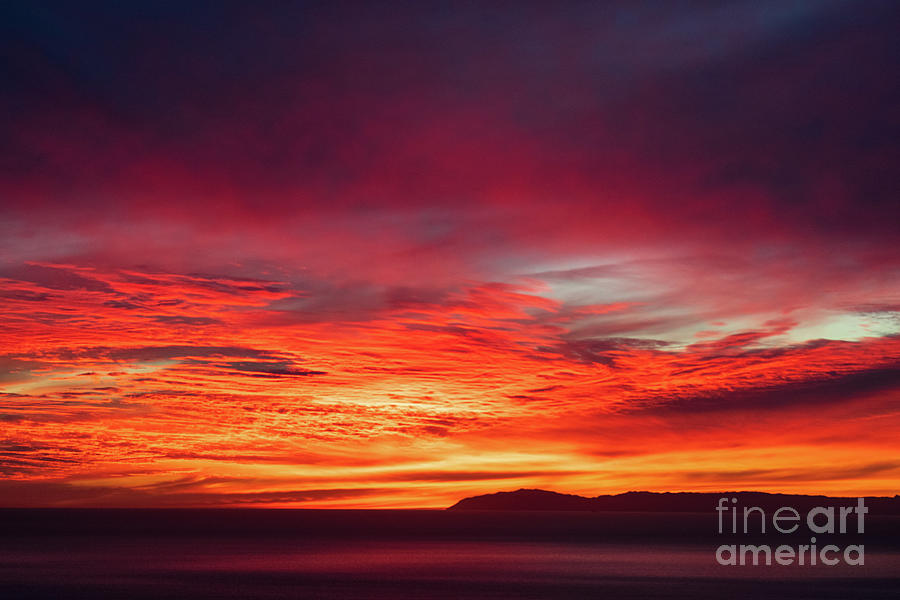 Painted Sky sunset over Catalina Photograph by Abigail Diane Photography