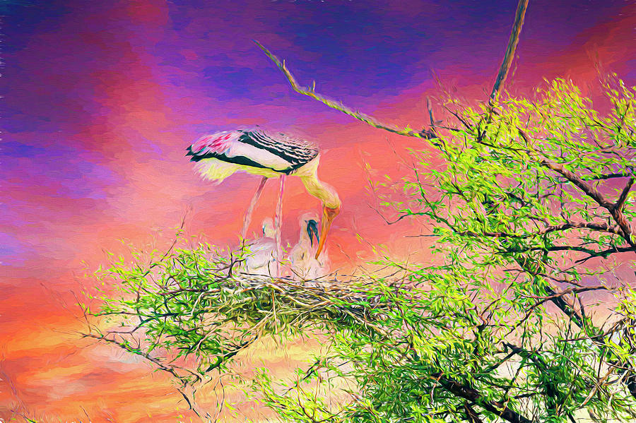 Painted Stork feeding chicks Mixed Media by Pravine Chester
