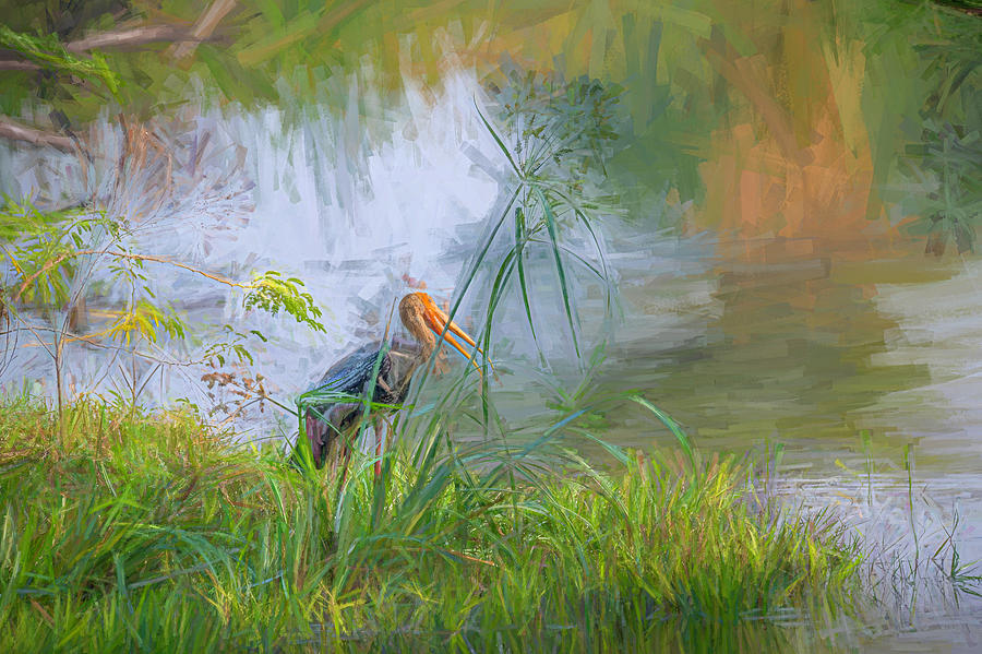 Painted stork in the swamp Digital Art by Pravine Chester