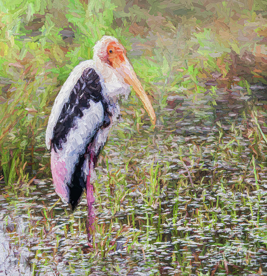Painted Stork Digital Art by Liz Leyden
