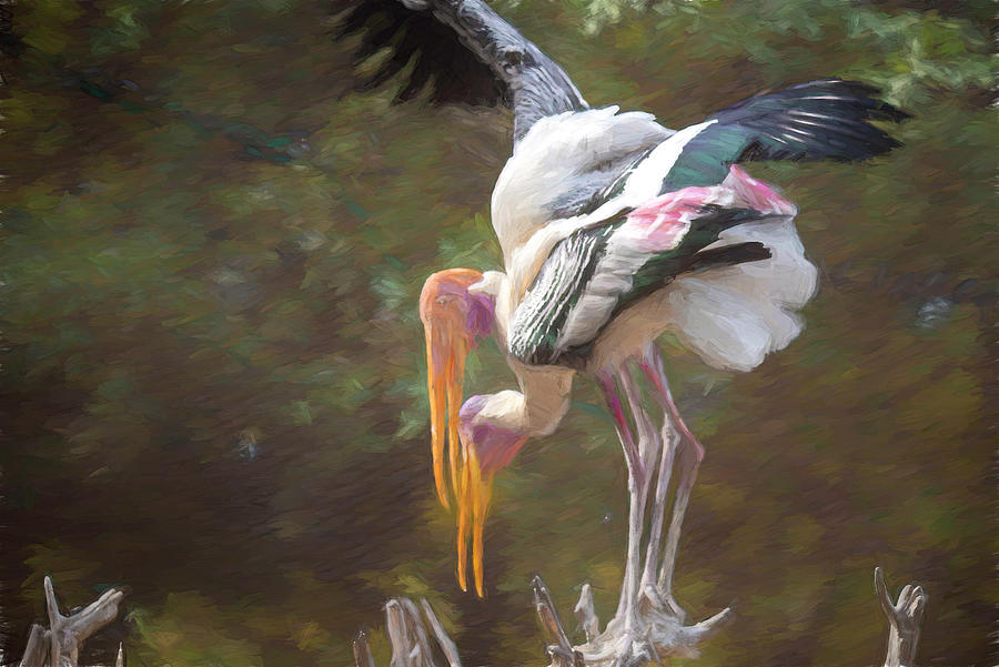 Painted storks on a tree top. Digital Art by Pravine Chester