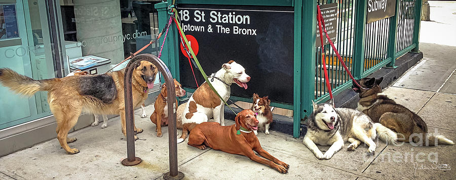 Painted  The Gangs Of New York  Doggy Style Photograph by Julian Starks