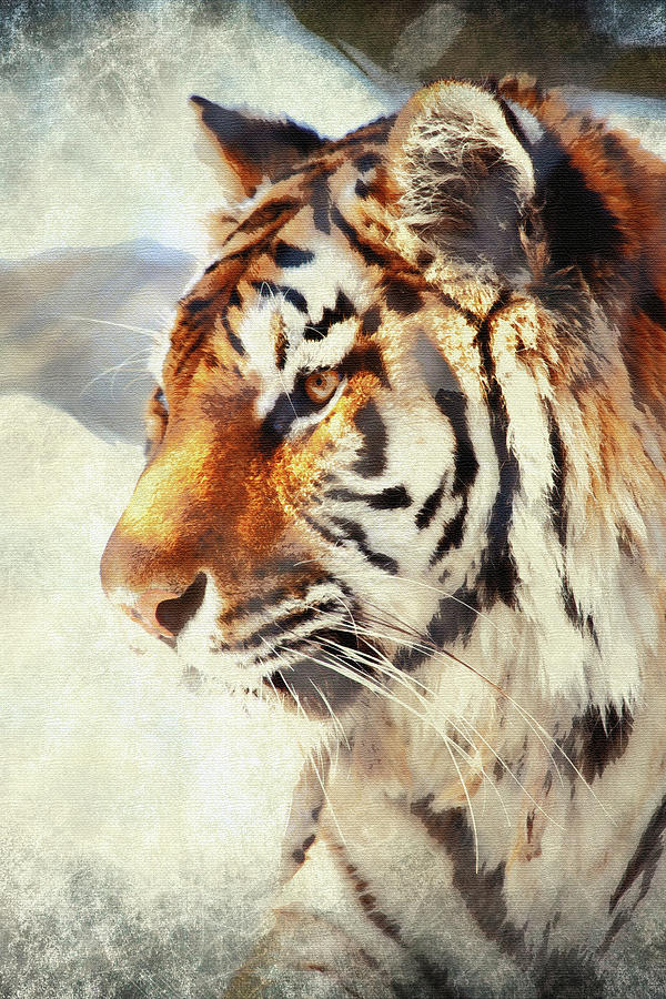 Painted Tiger Photograph by Karol Livote