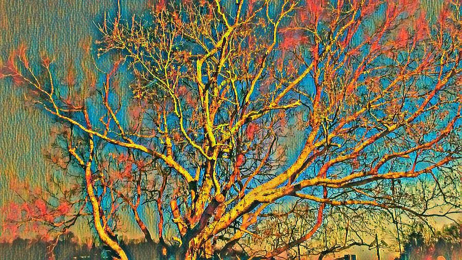 Painted Tree Digital Art by Ally White