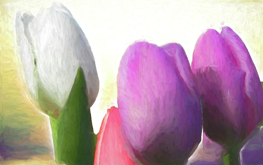 Painted Tulips  Digital Art by Cathy Anderson