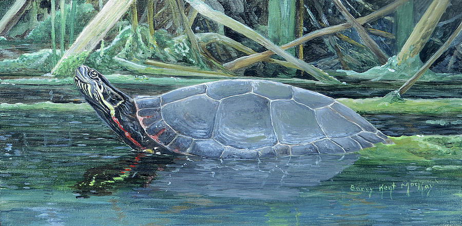 Painted Turtle  Painting by Barry Kent MacKay