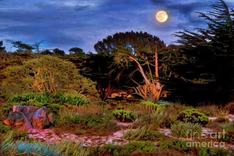 Painter lee Carmel Moon Rise  Photograph by Blake Richards