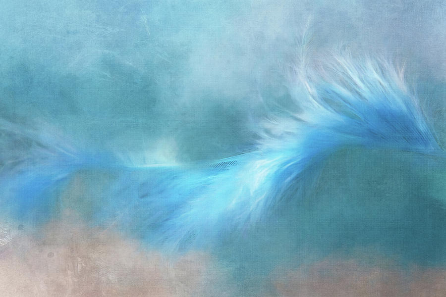 Abstract Digital Art - Painterly, Abstract Feather by Terry Davis