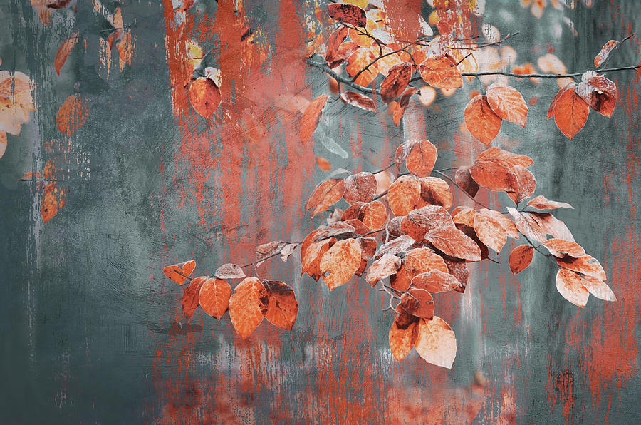 Painterly Photograph - Painterly autumn leaves by Rob Visser Painterly Photograph - Painterly autumn leaves by Rob Visser