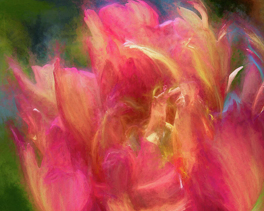 Painterly Blooms Photograph by Dodie Ross Painterly Blooms Photograph by Dodie Ross
