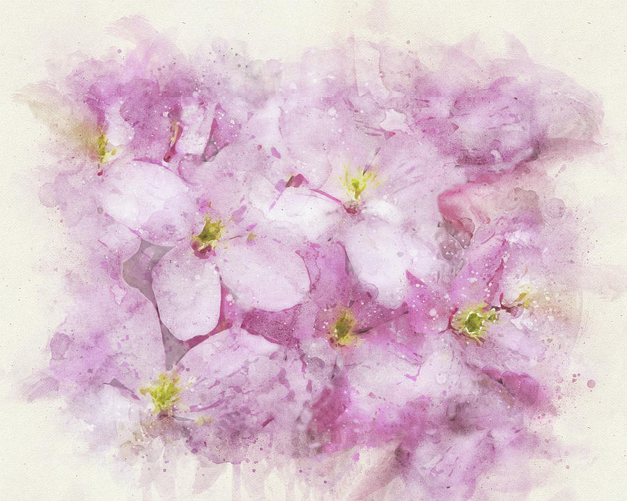 Painterly Clematis Flowers Mixed Media by Peggy Collins