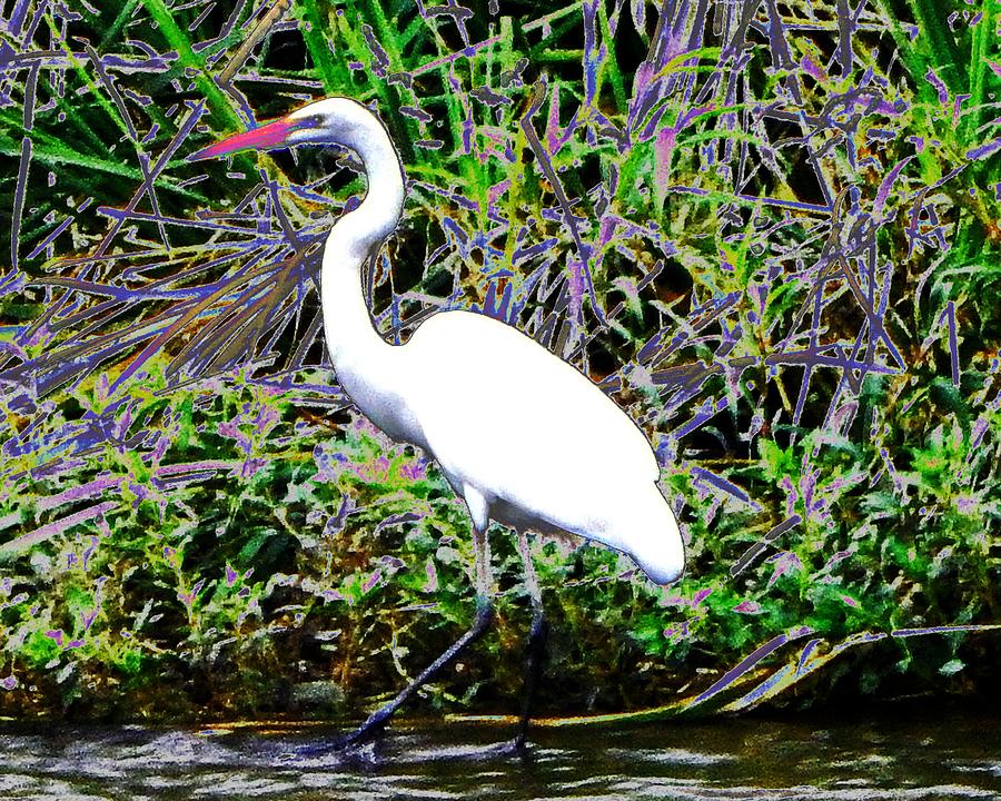 Painterly Egret Photograph by Andrew Lawrence