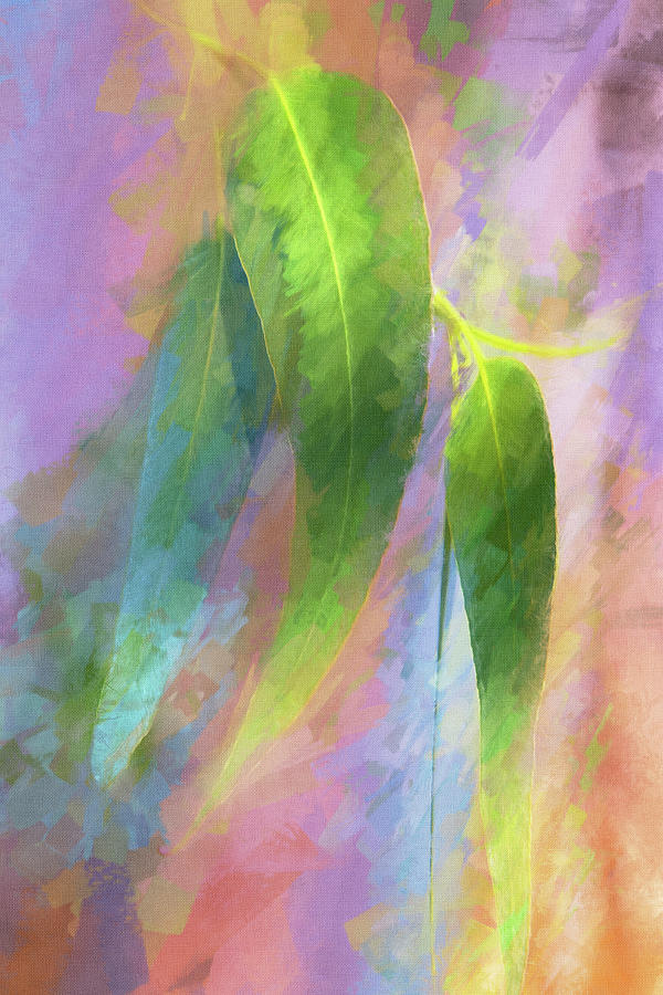 Painterly Eucalyptus Digital Art by Terry Davis