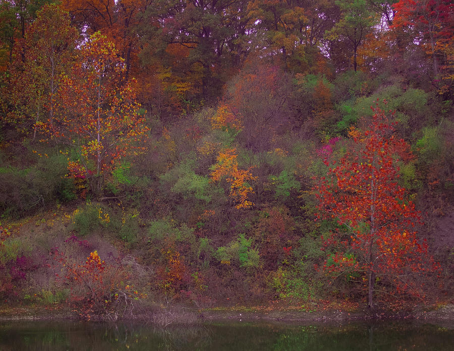 Painterly Fall Pond Photograph by Virginia Folkman