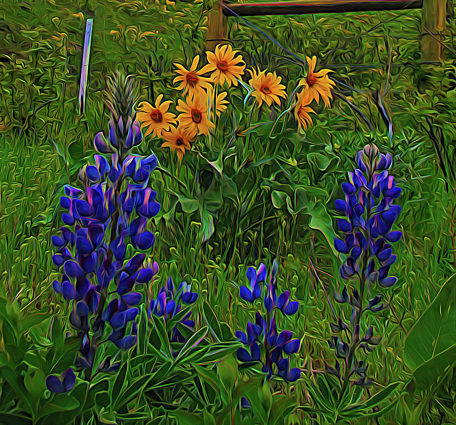 Painterly Flowers Wyoming Digital Art by Cathy Anderson
