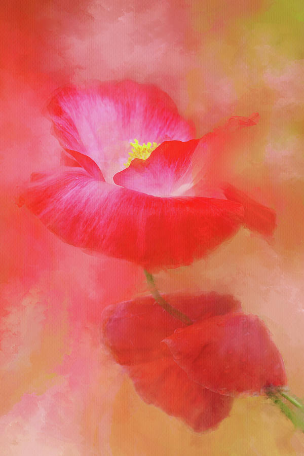 Painterly Poppies Digital Art by Peggy Collins