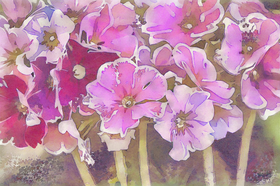 Painterly Primrose Flowers Digital Art by Gaby Ethington