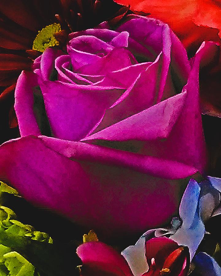 Painterly Rose Photograph by Andrew Lawrence