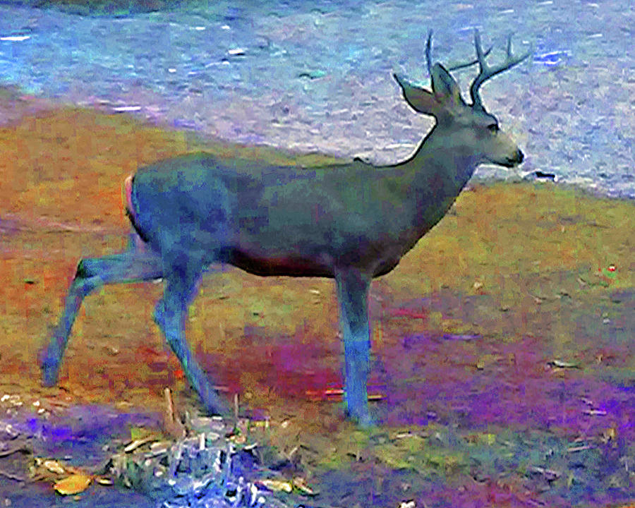 Painterly Stag Photograph by Andrew Lawrence