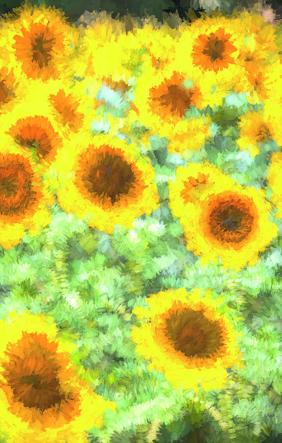 Painterly Sunflower Field Photograph