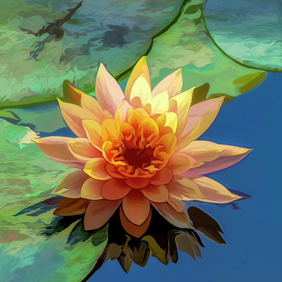 Painterly Water Lily Photograph by Carolyn Derstine