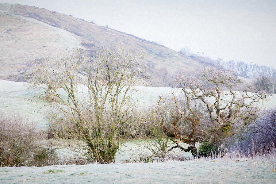 Painterly Winter Landscape Mixed Media by Tanya C Smith