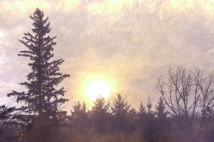 Painterly Woodland Sky Sunrise Photograph by Patti Deters