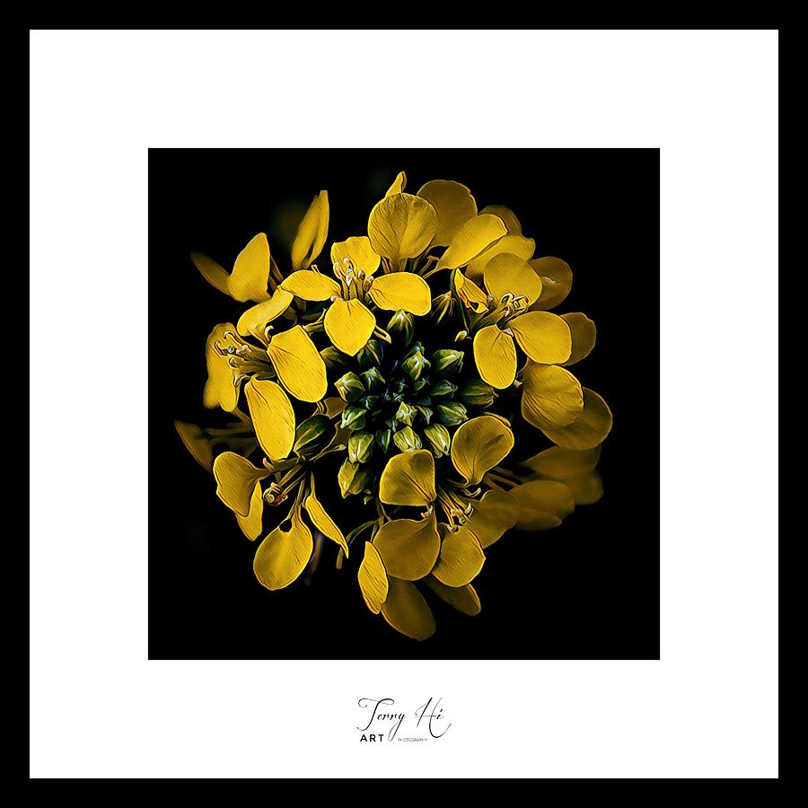 Painting #6 - Mustard Flower Painting by Terry Hi | Fine Art America