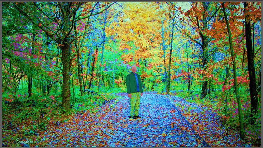 Painting Autumn In The Woods  Painting by Susanna Katherine
