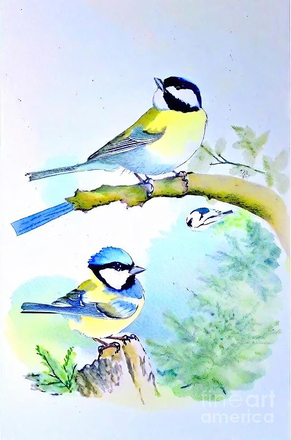Nature Painting - Painting Chickadees European Birds illustration n by N Akkash