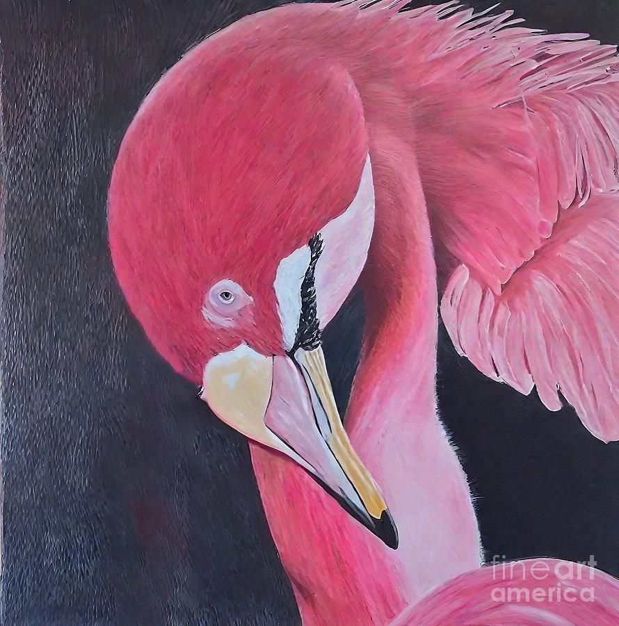 Nature Painting - Painting Flamingo bird nature color tropical art by N Akkash