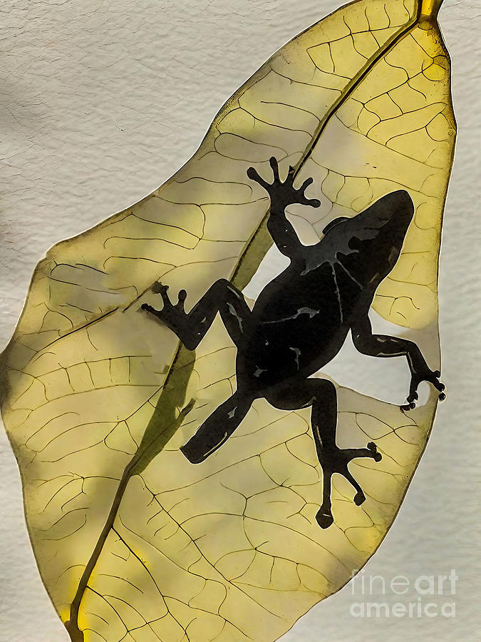 Nature Painting - Painting Frog nature animal leaf green background by N Akkash