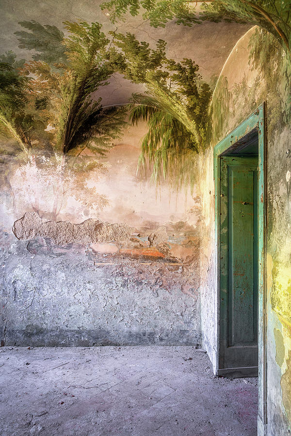Painting in Decay Photograph by Roman Robroek