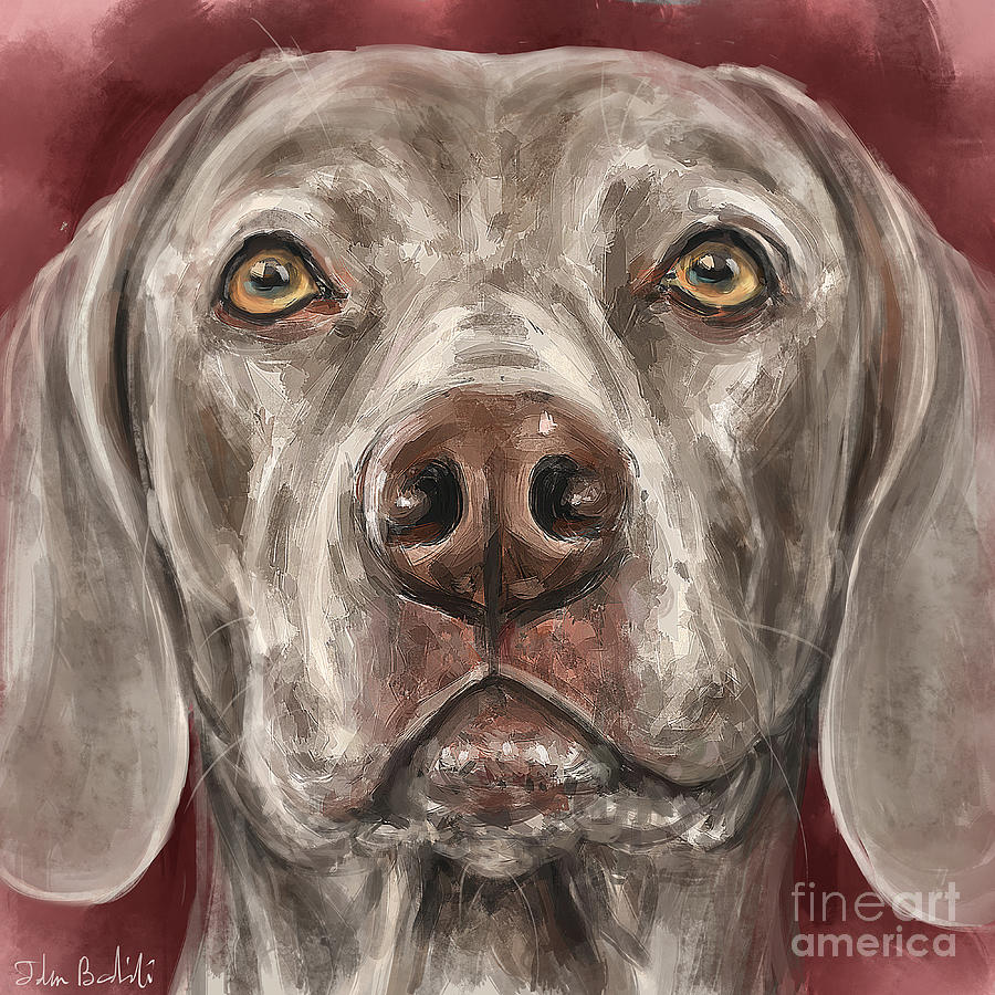 Painting a Brown Weimaraner Dog Looking At You on Red Background Digital Art by Idan Badishi - Art America