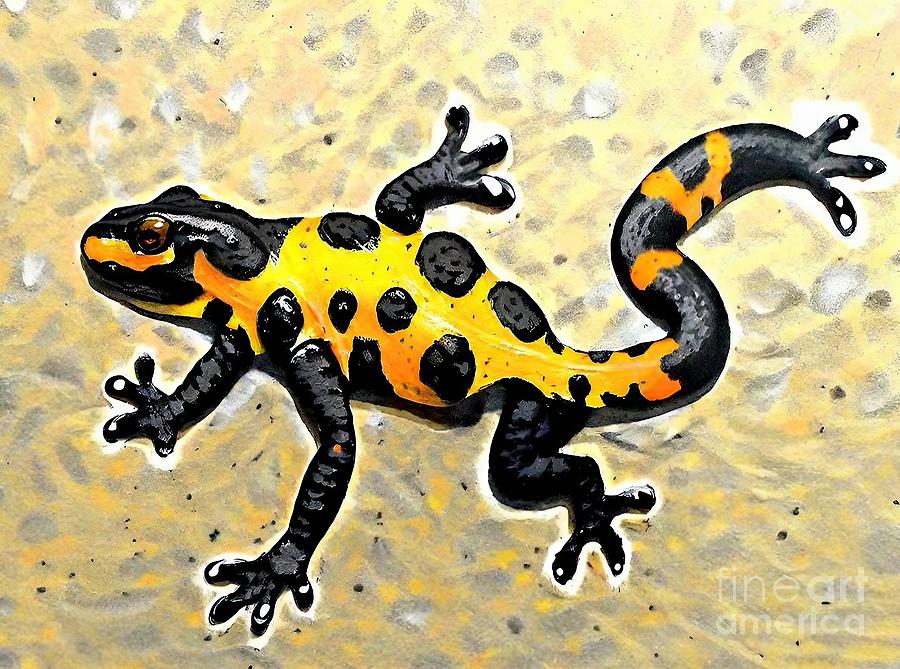 Wildlife Painting - Painting Salamander animal wildlife salamander am by N Akkash