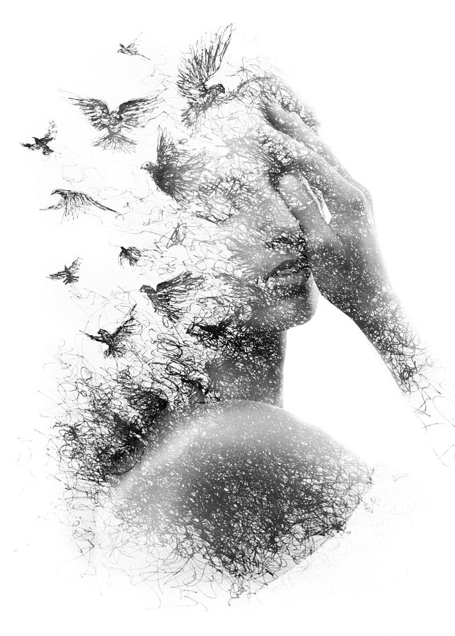 Paintography. Double Exposure portrait of an elegant woman with closed eyes combined with hand made pencil drawing of a flock of birds flying freely resembling disintegrating particles of her being Photograph by Victor_Tongdee