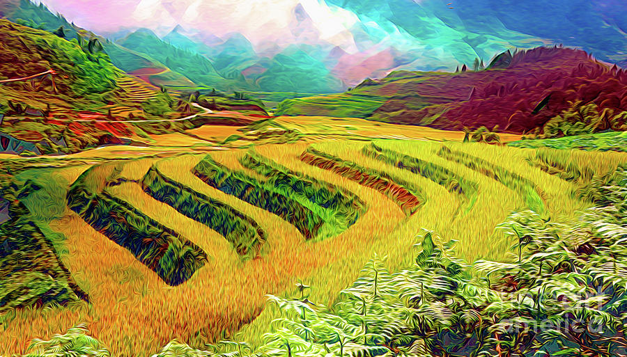 Paintography Sapa Rice Terrain Vivid Color Artistic Photograph by Chuck ...