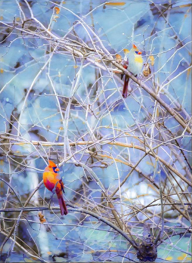 Pair of Cardinals Photograph by Diane Lindon Coy