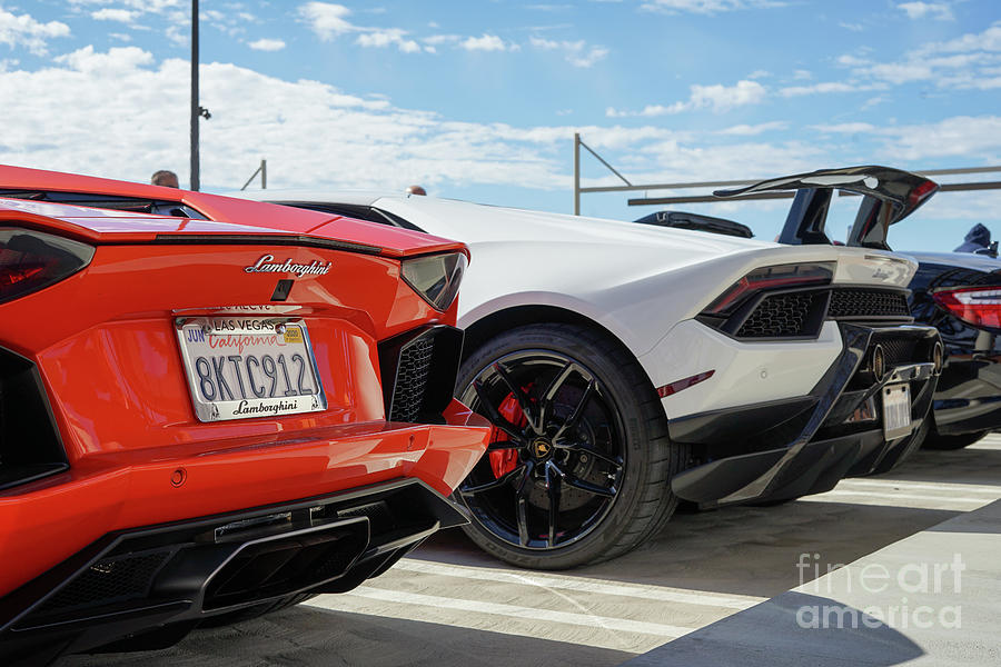 Pair Of Lambos Photograph By Chase Hammond