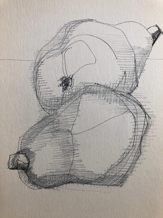 Pear and Shadow Drawing by Lynda Zahn - Pixels