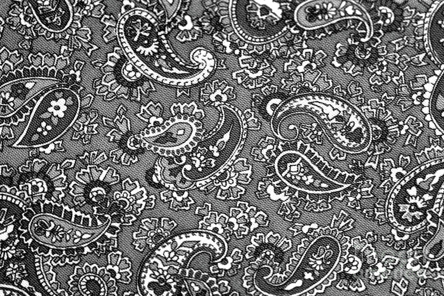Abstract Photograph - Paisley Abstract in black and white by Paul Ward
