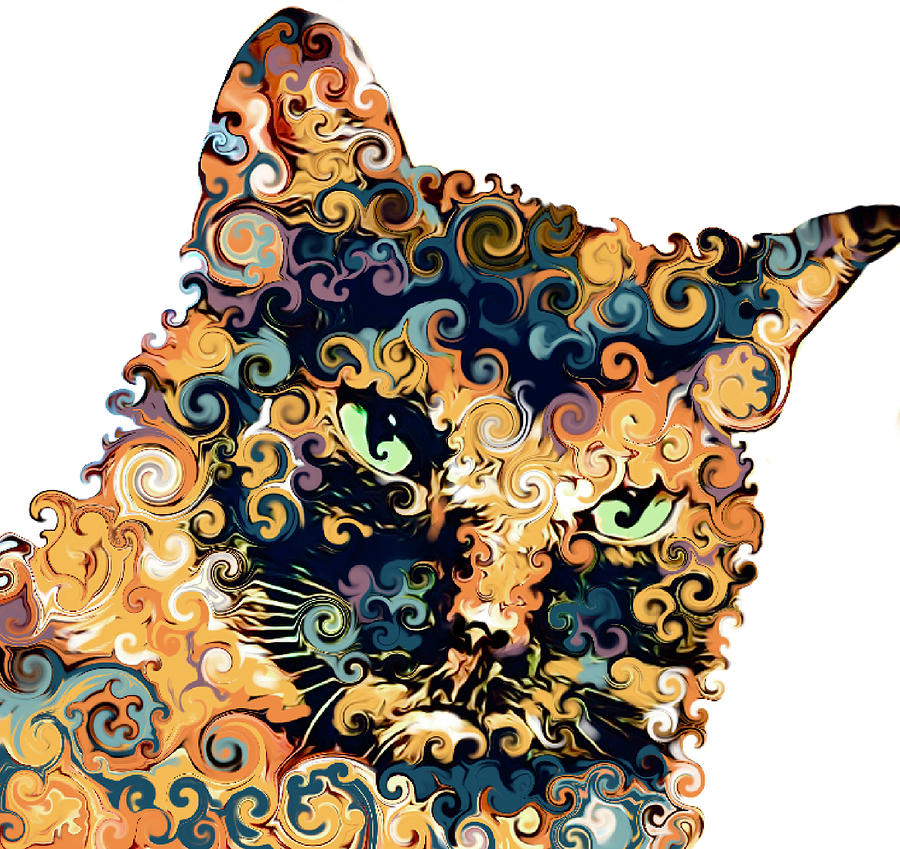 Paisley  Digital Art by Suzan Sommers