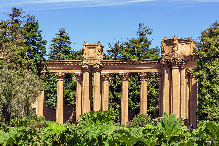 Palace Columns With Green Foliage Photograph