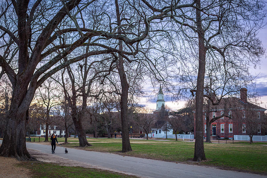 Palace Green at Sunset in December Photograph by Rachel Morrison